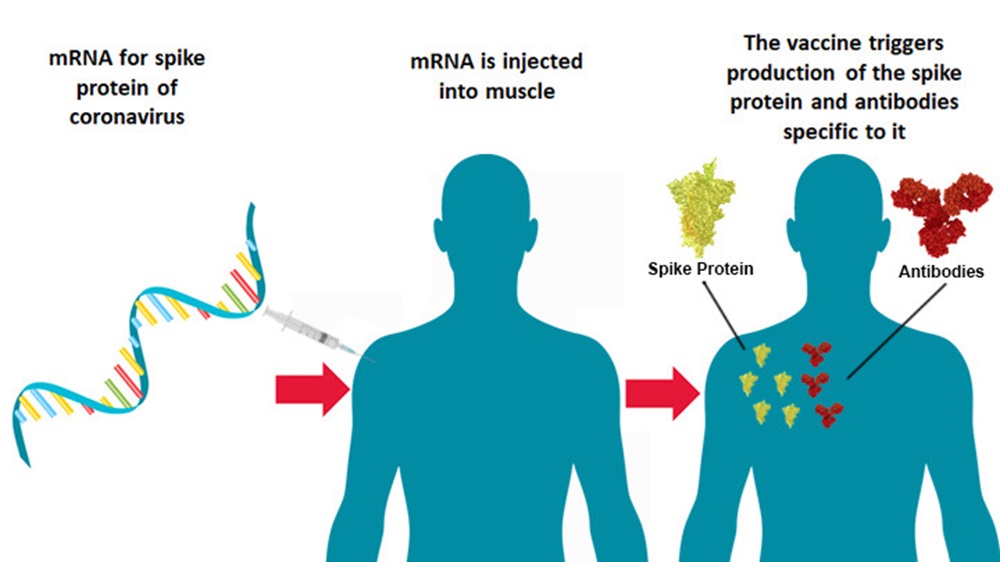 Health Canada- Covid Vaccination Is Safe But…