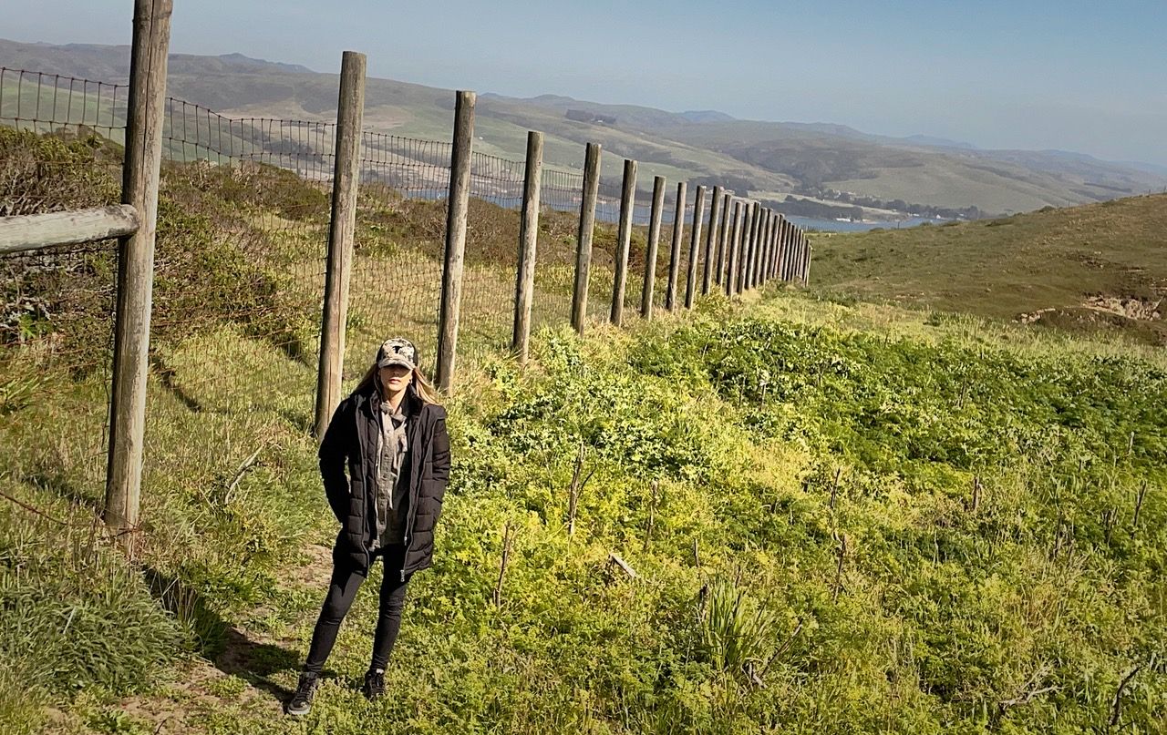 California Elk Killing Fence Finally Being Removed